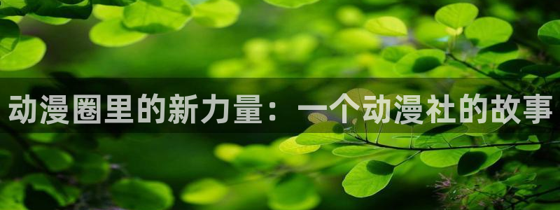 age动漫下载普通话：动漫圈里的新力量：一个动漫社的故事配图