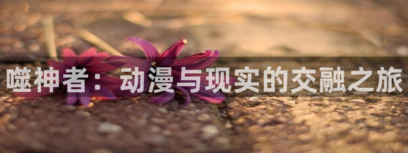 age动漫下载老版:噬神者:动漫与现实的交融之旅配图