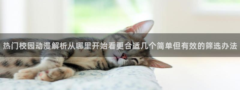 下载age动漫资源:热门校园动漫解析从哪里开始看更合适几个简单但有效的筛选办法配图