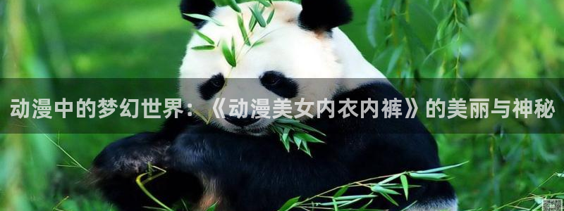 age动漫pc下载：动漫中的梦幻世界：《动漫美女内衣内裤》的美丽与神秘配图