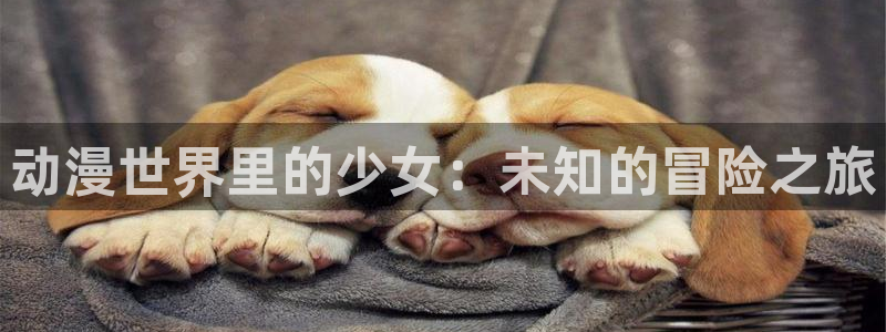 闪电age动漫下载:动漫世界里的少女:未知的冒险之旅配图